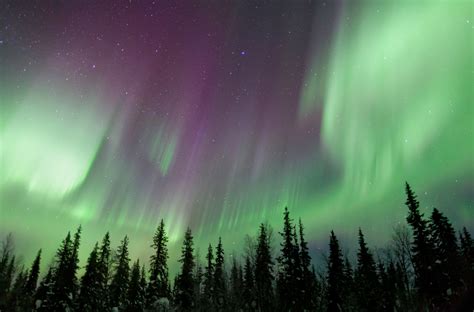 Aurora Forecast See Northern Lights Today