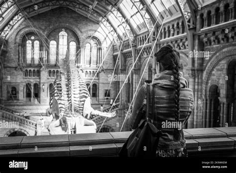The Famous Natural History Museum In London Stock Photo Alamy