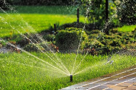 Amazing tips and tricks that you can implement to keep your grass super healthy and lush! Services | Salt Lake Lawns | Lawn Care Service in Taylorsville, UT