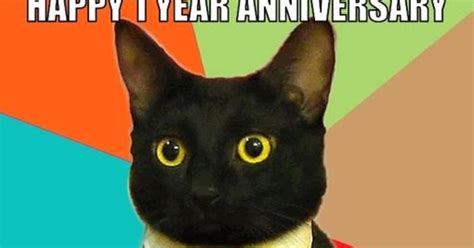 Happy Work Anniversary Cat Images