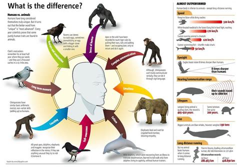 The Differences Between Humans And Other Animals Infographic Karma