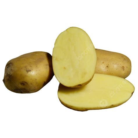 Some Freshly Cut Potatoes Potato Clipart Potato Incised Png