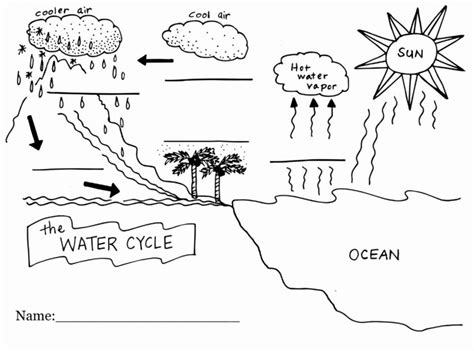 Fill In The Blank Water Cycle Diagram Worksheet — Db