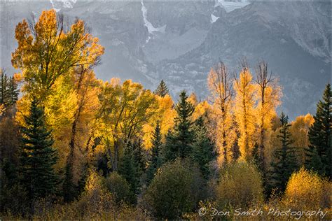 Grand Teton Fall Color Natures Best By Don Smith