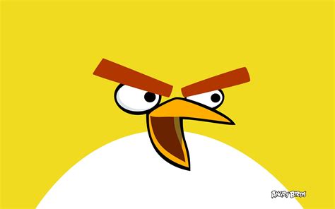Yellow Bird In Angry Birds Wallpapers Hd Wallpapers Id 9964