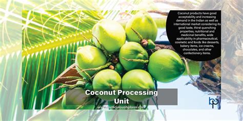 Coconut Processing Unit Meticulous Business Plans