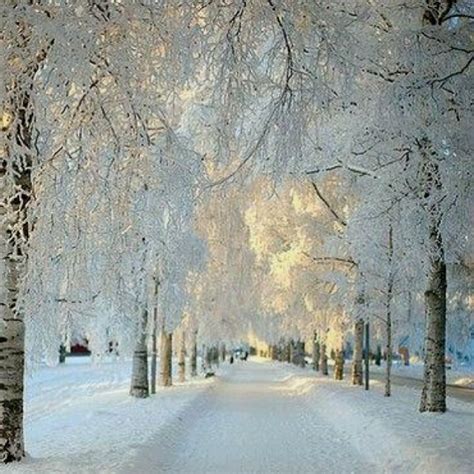 Beautiful Winter Scene Winter Marvels Pinterest