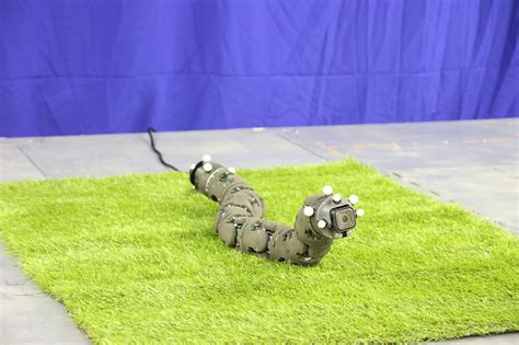 Will This Reptilian Robot Lead Russian Soldiers In Cave Battles
