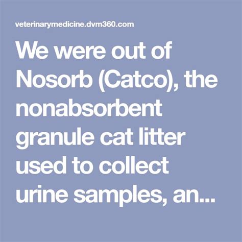 We Were Out Of Nosorb Catco The Nonabsorbent Granule Cat Litter Used