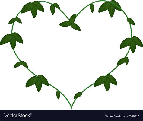 Green Vine Leaves In A Heart Shape Wreath Vector Image