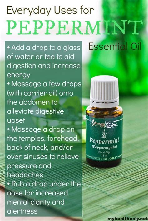20 Incredible Benefits Of Peppermint Essential Oil My Health Only
