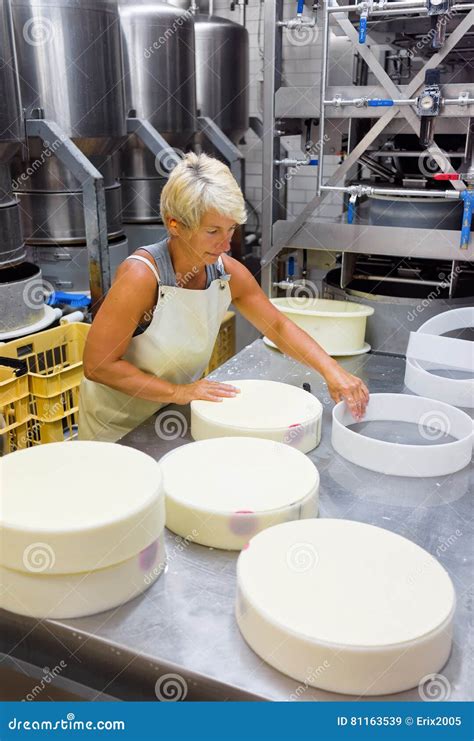 Cheesemaker Putting Gruyere De Comte Cheese In Forms In Dairy Editorial