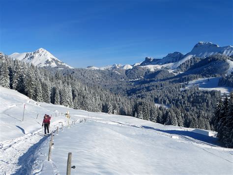 Welcome To Swiss Alpine Hiking Swiss Alpine Hiking