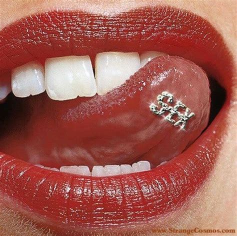 Fun Types Of Tongue Piercings Tattoodo