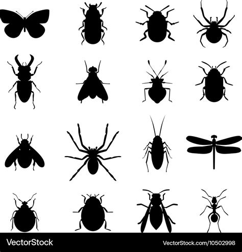Insect Icon Black Silhouette Icons Royalty Free Vector Image