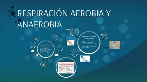 RespiraciÓn Aerobia Y Anaerobia By Paula Arias On Prezi