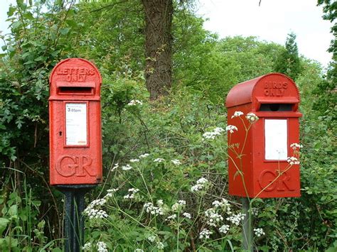 Directed by emmy winner susanne bier, bird box is a thriller starring academy award winner sandra bullock, john malkovich, sarah paulson, and trevante rhodes. Postbox for letters and bird box © Keith Evans cc-by-sa/2 ...