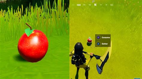There is an apple orchard just north of frenzy farm which has loads of apples in it. Gather or Consume Foraged Items at the Orchard-Fortnite ...