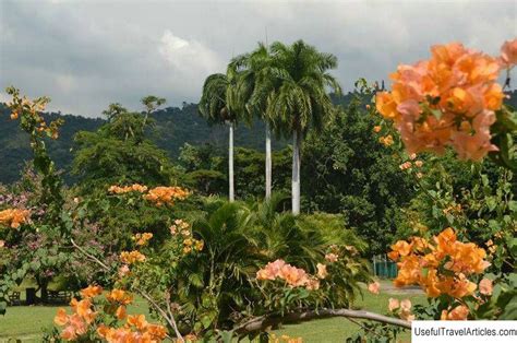 Hope Botanical Gardens Description And Photos Jamaica Kingston