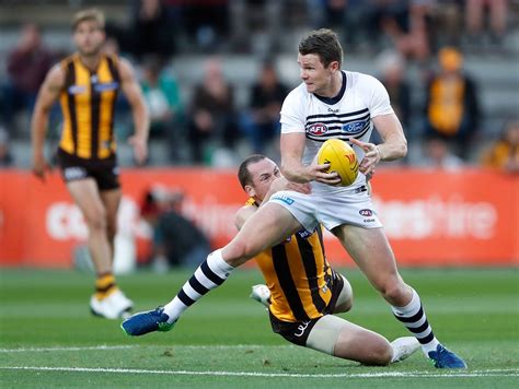 Donald trump, novak djokovic, ruth bader ginsburg, alan fonteles cardoso oliveira, boris johnson. AFL Fantasy pre-season review - geelongcats.com.au