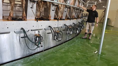 Milking Parlour Hygiene Solutions Cotswold Dairy Equipment