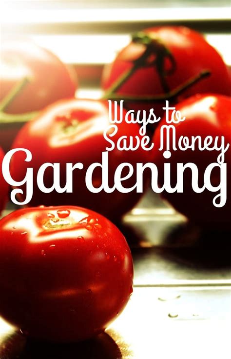 5 Ways To Save Money Gardening Saving Money Gardening For Beginners