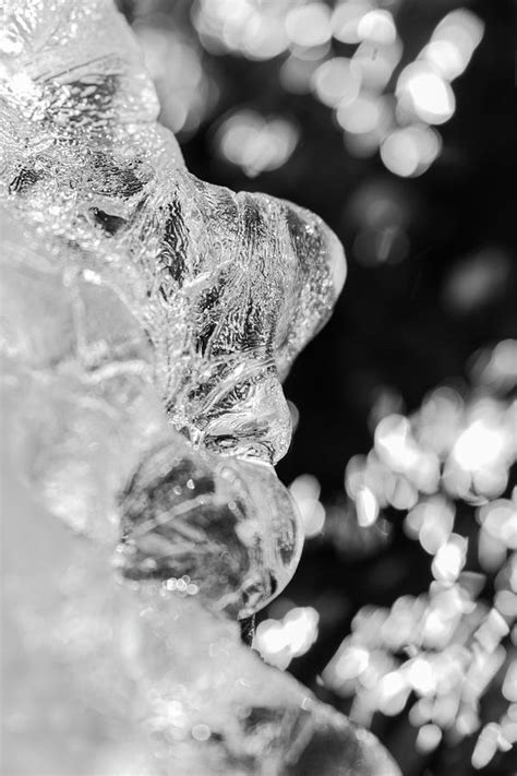 Man Frozen In Ice 2018 Photograph By Thomas Young Fine Art America
