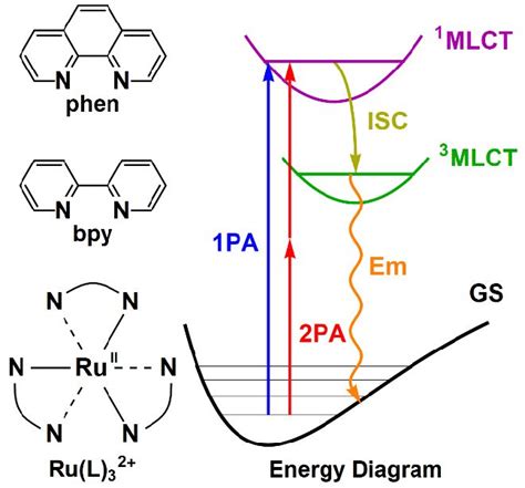 a structures of the ruthenium complexes [ru l 3] 2 l download scientific diagram