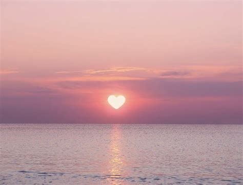 Light Pink Sunset Wallpaper Aesthetic / Wallpaper cart offers the
