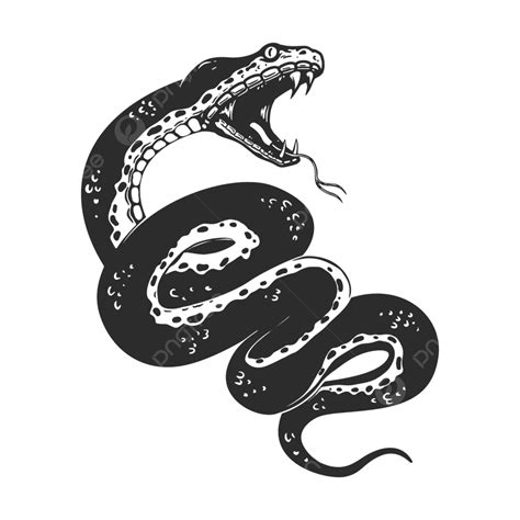 Snake Tattoo Vector Hd Png Images Illustration Of Snake In Tattoo
