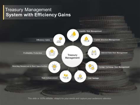 Treasury Management System With Efficiency Gains Powerpoint