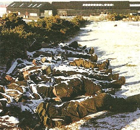 Bitka za goose green (hr); FIREARMS CURIOSA, The dead of Goose Green The Battle of ...