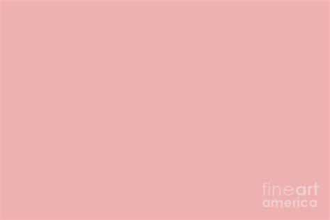 Pastel Pink Color Codes And Facts Html Color Codes Images Imagesee