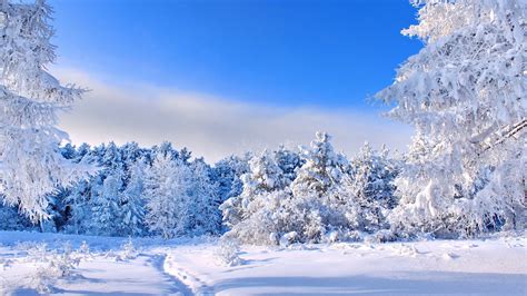 2560x1440 Winter Wallpapers Top Free 2560x1440 Winter Backgrounds