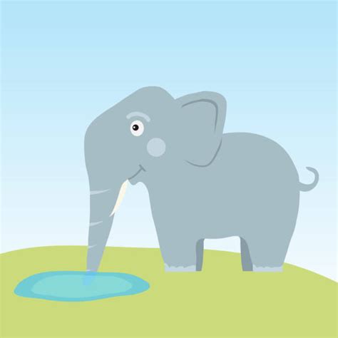 Elephant Drinking Illustrations Royalty Free Vector Graphics And Clip