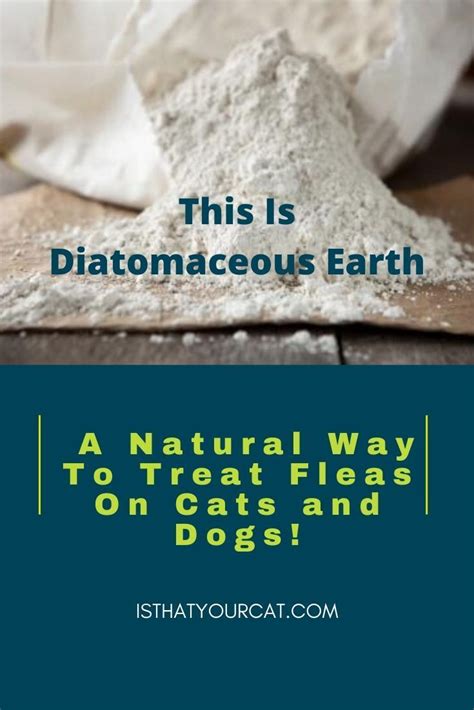 Diatomaceous earth has various advantages for filtration in the brewing process as reported by baimel et al. Diatomaceous Earth For Fleas On Cats - Is It Really Any ...
