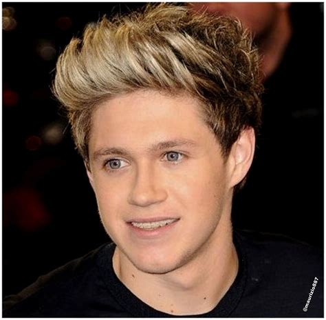 Niall Horan 2013 One Direction Photo 34536912 Fanpop