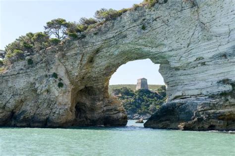 Vieste cosa vedere cosa fare e le spiagge più belle greenMe