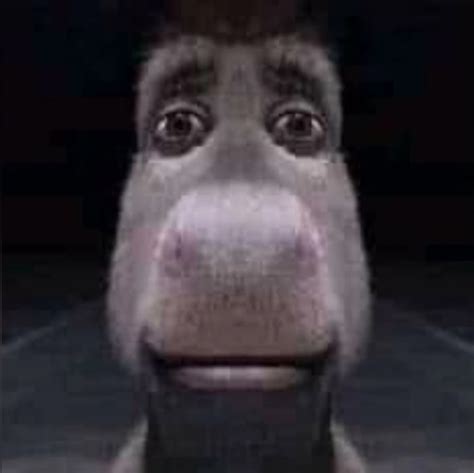 Donkey Stare Blank Template Imgflip