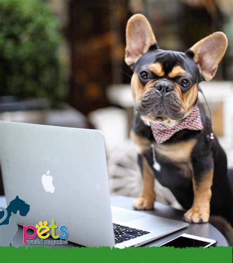 Gracias por ser un compañero amable y colaborador. Feliz día del trabajador 👍🏽 #PetsWorldMagazine # ...