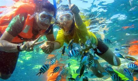 Have Fun Snorkeling In Jamaica