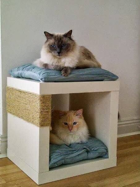 Diy Cat Beds Musely