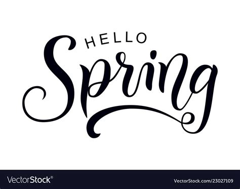 Calligraphy Lettering Of Hello Spring In Black Vector Image