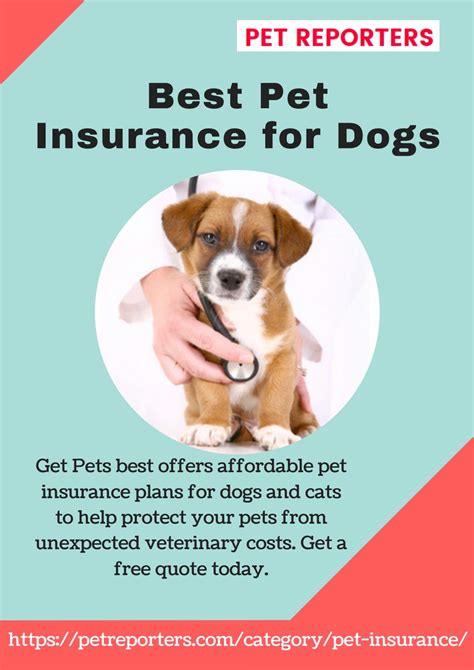 Best Pet Insurance For Dogs Uk Pet Insurance Premiums Will Be Reduced