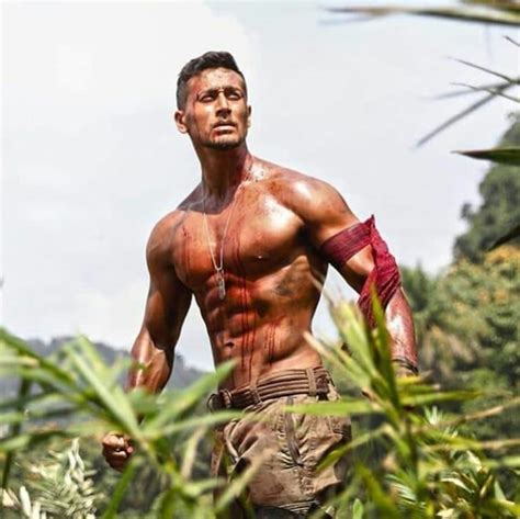 Baaghi Hindi Movie Overview