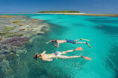 Fraser Island And Great Barrier Reef 5 Day Tour Tours To Go