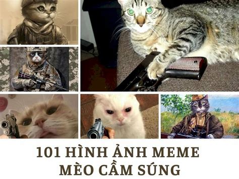 101 Mẫu Meme Mèo Cầm Súng Siêu Ngầu Bá đạo Hài Hước Tải Miễn Phí