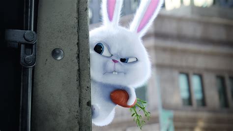 Secret Life Of Pets Snowball Holding Carrot Key Movie Scene Movies