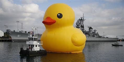Canada Gets Giant Rubber Duck For Its Birthday Because A Loon Is Too