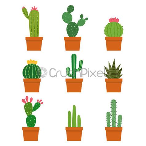 Small Cactus Pot Vector Set Isolated On White Background Stock Vector